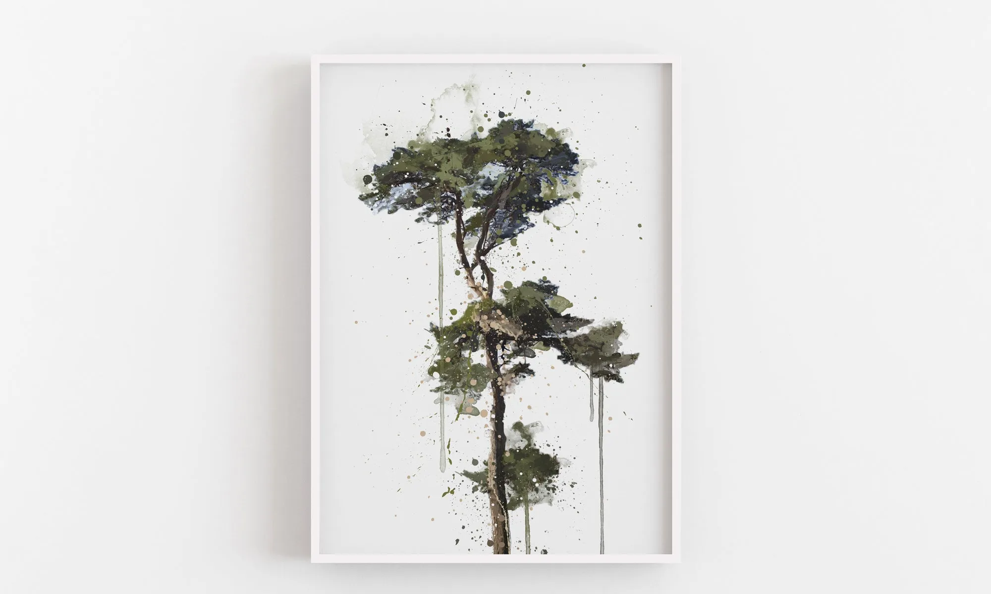 Botanical Wall Art Print 'Scots Pine' - Plant Prints, Botanical Art Prints and Botanical Illustrations