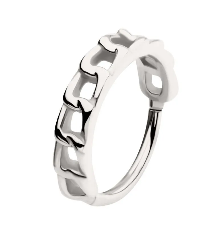 Chain Link Side Facing Stainless Steel Hinged Segment Ring