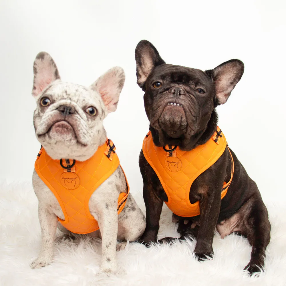 Frenchiestore Neck Adjustable Vegan Leather Health Harness | Orange Pumpkin Varsity