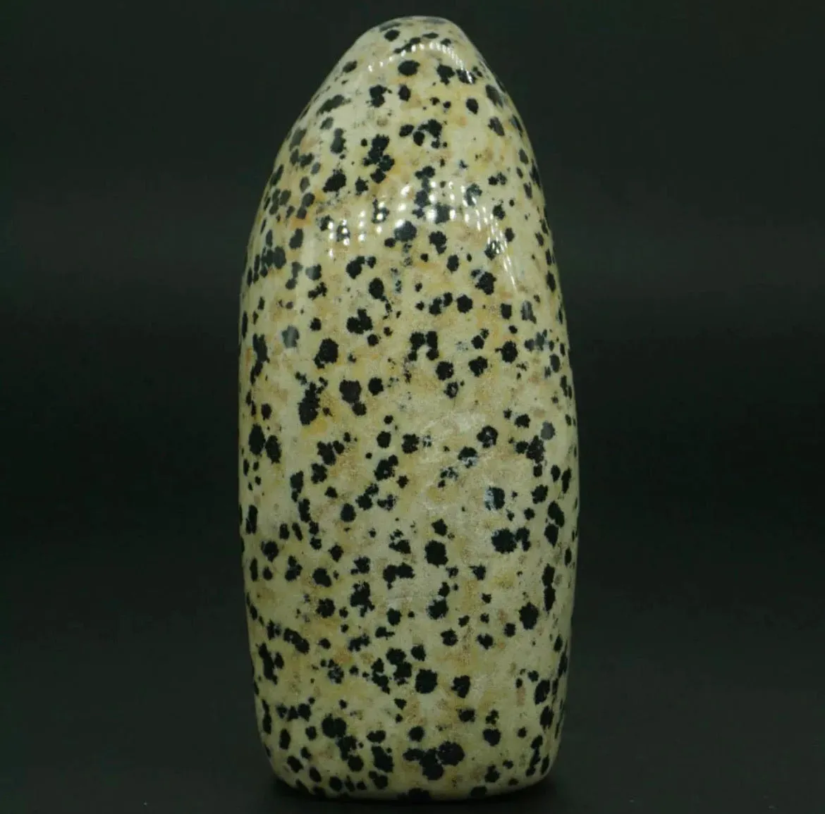 Natural Dalmatian Jasper gemstone